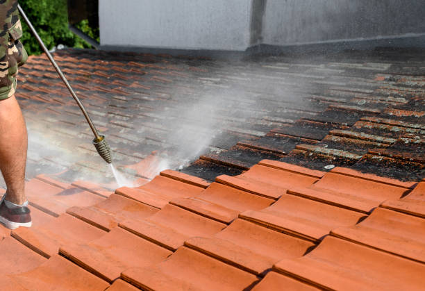 Best Affordable Power Washing  in USA